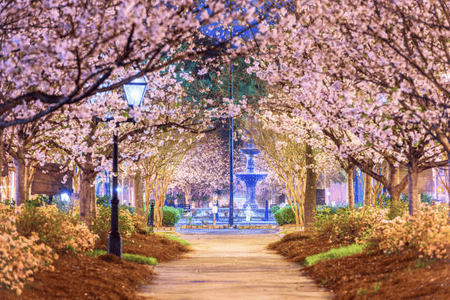 Learn About the Diversity of Apartments in Macon